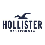 Hollister_Logo_NAVY